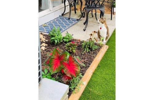 Charleston House | Townhome minutes away from downtown Charleston and Folly Beach