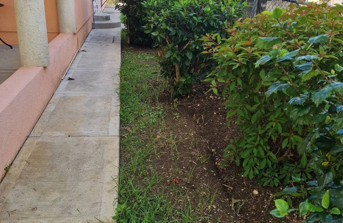 Fitts Village House | Tranquil 3-Bedroom House With AC In St James