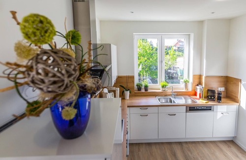 Schwerin Apartment | Traumhaftes Appartment mit Seeblick, Sauna, Kamin, Dachterrasse und Stadtnähe