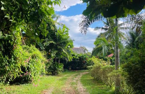 San Juan House | travis homestay