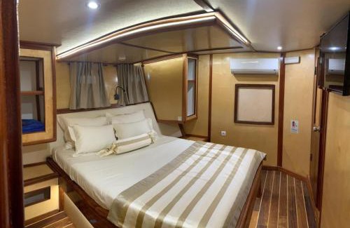 Omis Boat Rental | Trebenna