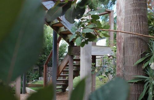 Jan Juc Apartment | Tree House Jan Juc