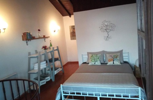Obidos House | Tree House