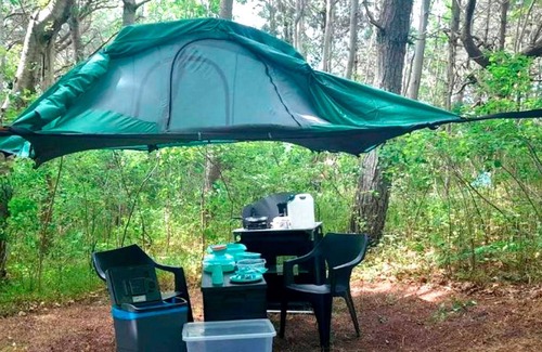 Dranske Apartment | Tree tent Ostseebreeze - Category 1 No. 9 - Ferienpark Bakenberg