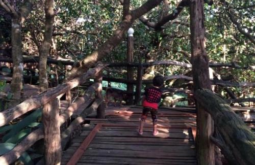 Ban Lung Cabin | Tree Top Eco-Lodge