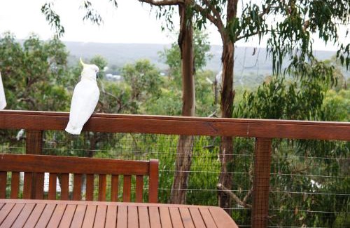 Anglesea House | Tree Top Getaway