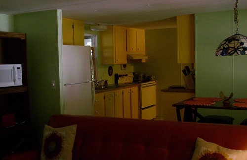 Bearss Plaza House | 'Tree Tops' A Florida Friendly, Pet Friendly, Rental