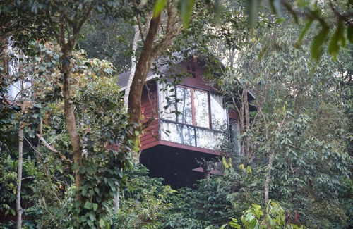 Vythiri Villa | TREE6 WAYANAD
