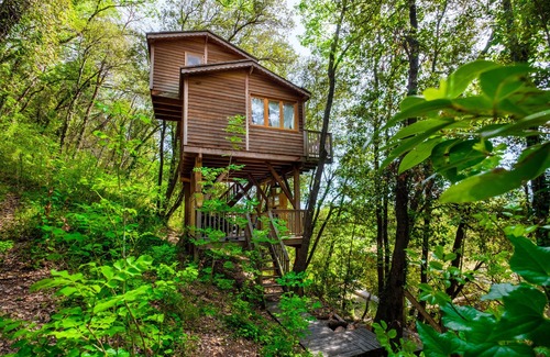 Saint-Paul-de-Vence House | Treehouse Apartment 'Colonel Hathi' with Shared Pool, Terrace, Balcony & Wi-Fi