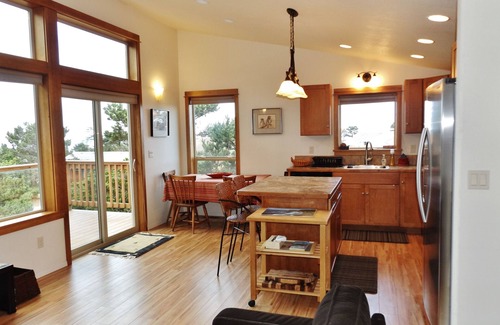 Bayshore House | Treehouse DelMar