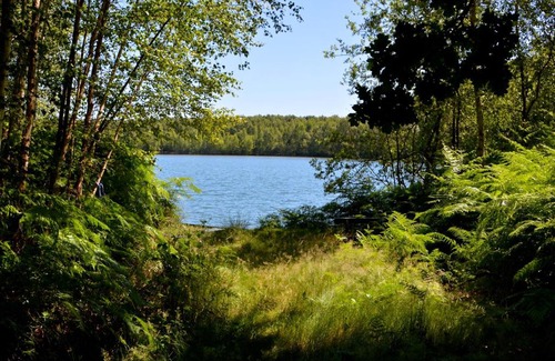 Maubray Villa | Treeloft adventure in nature for 4 people 13