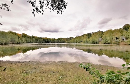 Maubray Villa | Treeloft adventure in nature for 4 people 11