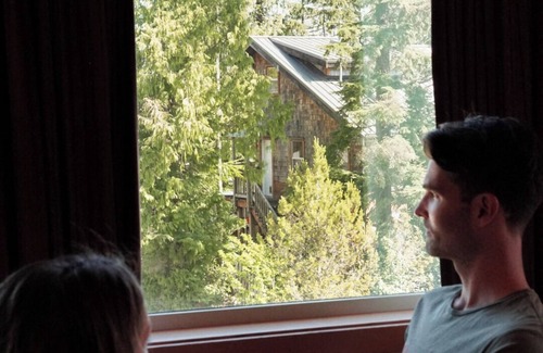 Tofino Apartment | Treetop Suite at Tofino Hobby Farm