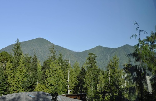 Tofino Apartment | Treetop Suite at Tofino Hobby Farm