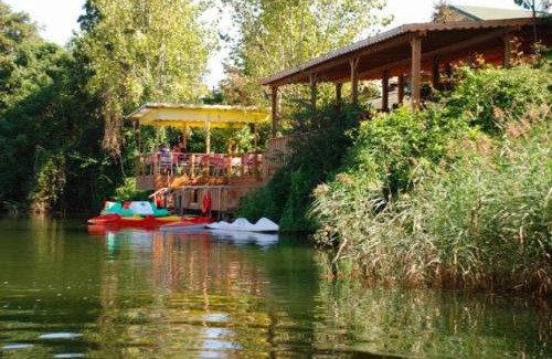 Agva Hotel | Treetops Park Hotel