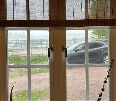 Kolback Bed & Breakfast | Trhastbb
