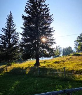 Studor House | Triglav Cottage