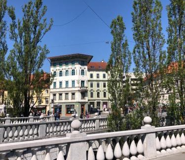 Ljubljana City Centre Apartment | Triple Bridge Ljubljana