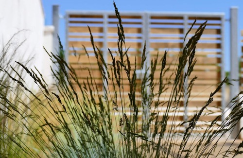 Torre Lapillo House | Triple Room in Punta Prosciutto Bed near the sea