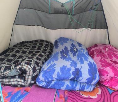 Sitapur Other | Trivedi Camps