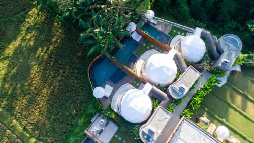 Carangsari Other | Triyana Resort and Glamping