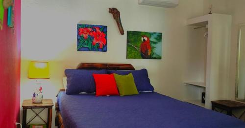 Barrio Las Parcelas Apartment | Tropical Cabina Pool & AC Cozy Bright Refreshing