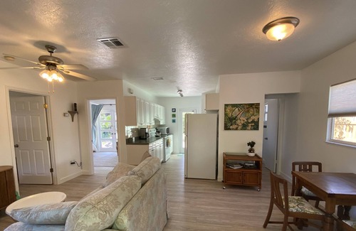 Alta Vista House | Tropical garden home-walk to downtown, 5 minutes to beaches, DOG friendly