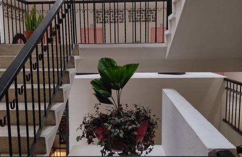 Emiliano Zapata Hotel | Tropicus 07 Romantic Zone Double Room with Terrace