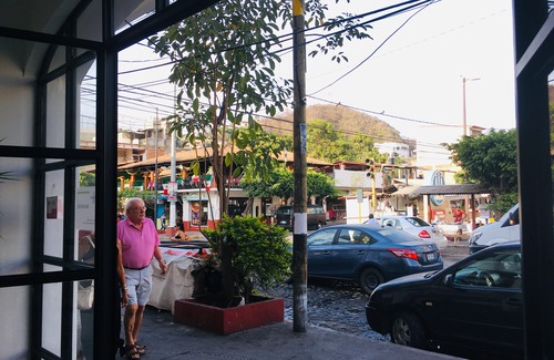 Emiliano Zapata Hotel | Tropicus 07 Romantic Zone Double Room with Terrace
