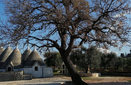 Triggianello House | Trulli of Mercedes splendid residence consisting of 5 trulli