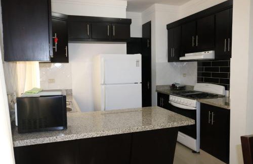 Santiago Province Apartment | Tu Segundo Hogar en Santiago, La Cuidad CORAZÓN