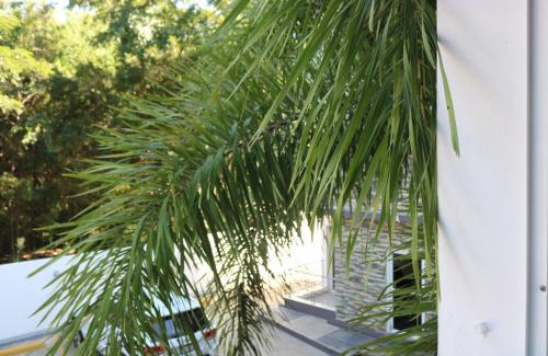 Santiago Province Apartment | Tu Segundo Hogar en Santiago, La Cuidad CORAZÓN