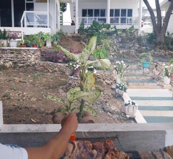 San Francisco Island House | Tulang Diot View Resort and Turtle Haven