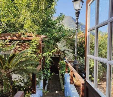 Realejo Alto Apartment | Tulia Guesthouse & Coworking