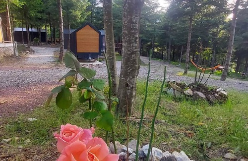 Kartepe Cabin | Tumba Sisli Vadi