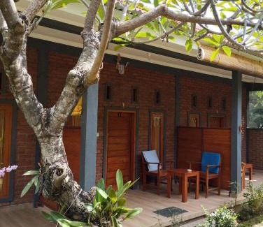 Anturan House | Tunjung guest house lovina beach