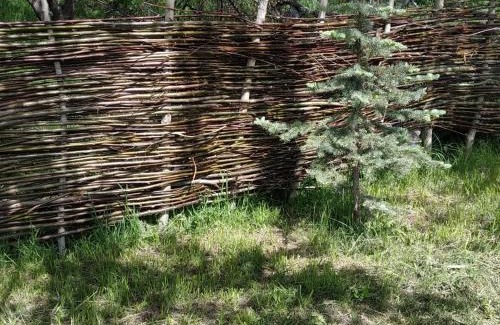 Issyk-Kul Region Bed & Breakfast | Turan Handmade Yurt with Heated Floors