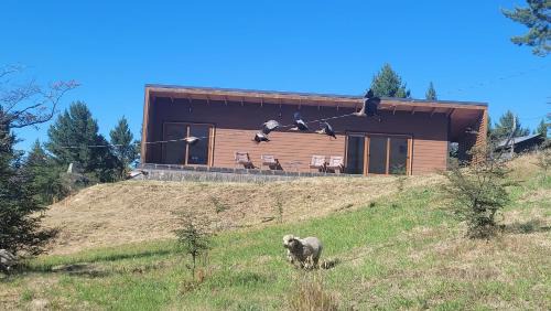 Cochrane Apartment | Turismo y Cabañas Dragon de La Patagonia