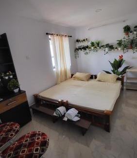 Munroe Island Bed & Breakfast | Turtle Island - Homestays