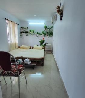 Munroe Island Bed & Breakfast | Turtle Island - Homestays