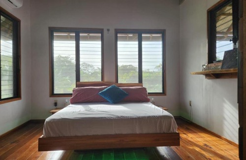 Bullet Tree Falls House | Turtle Suite