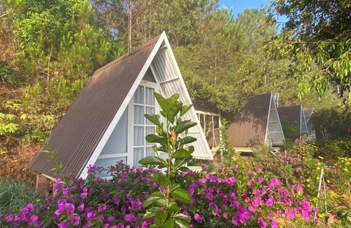 Da Lat House | Tuyet Hoa Hon Bo Bungalow