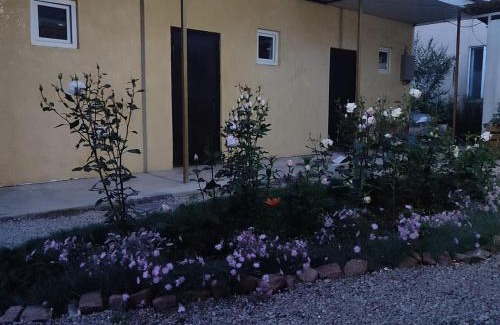 Cholpon-Ata House | Twin House