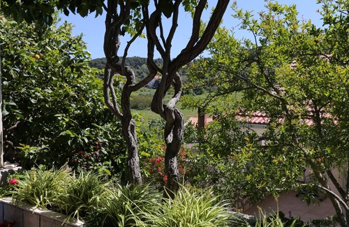 Lumbarda Apartment | Two bedroom apartment with terrace Lumbarda, Korčula (A-4473-a)