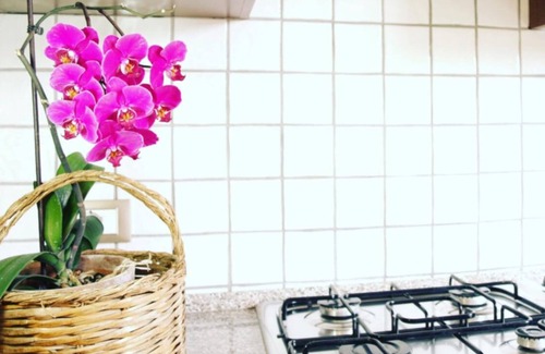Teulada Apartment | Two Bedroom Apartment in the greenery in the center of Teulada