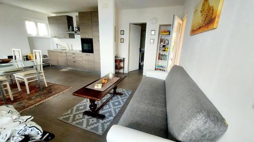 Cademario Apartment | Two BIG entire apartments with stunning view