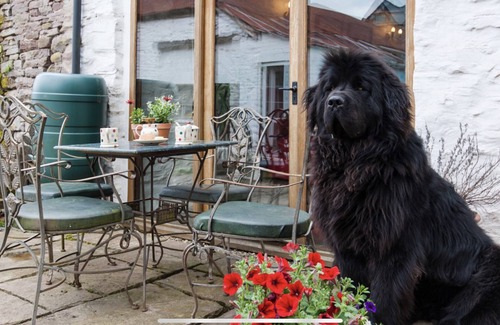 Llanfihangel Tal-y-llyn House | Ty Fferm Hen Coity Bach Farm, over looking Toal y fory
