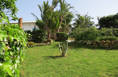 Mediar House | Typical country house 25kms from Tangier