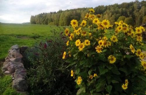 Odolov Apartment | U tátovy lípy