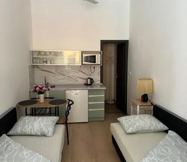 Stare Splavy Apartment | UbytkoMácháč